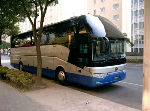 晋城租车指南 如何在晋城列表网上轻松租到心仪的车辆